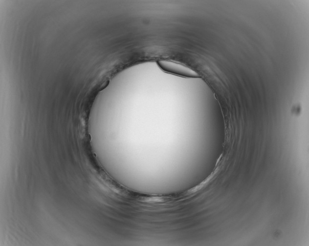 X0000091940183200709051310