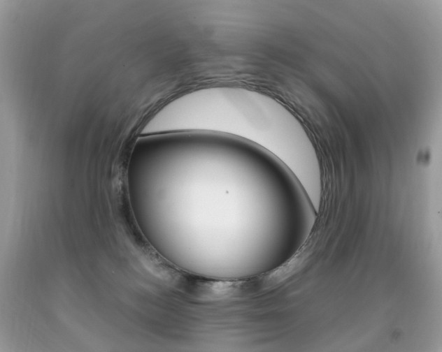 X0000091940184200709051310
