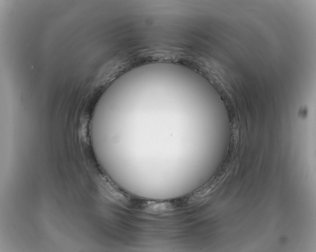 X0000091940185200709051310