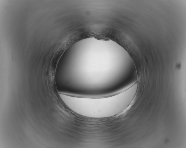 X0000091940186200709051310