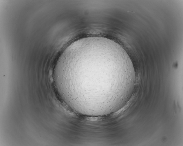 X0000091940187200709051310