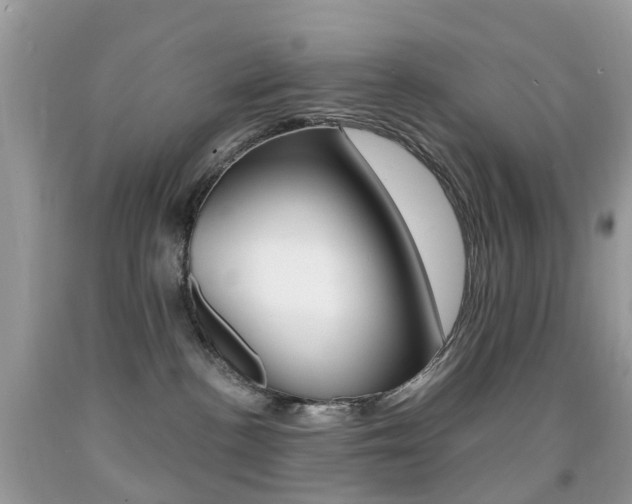 X0000091940188200709051310