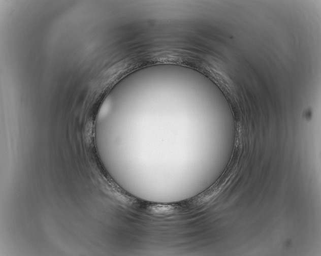 X0000091940189200709051310