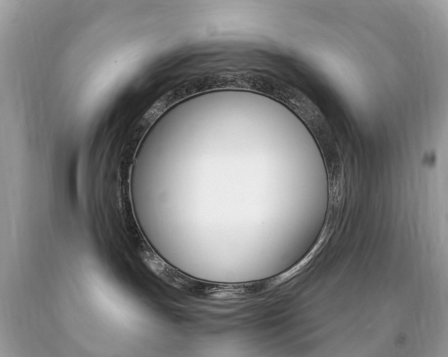 X0000091940191200709051310