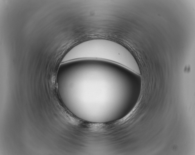 X0000091940192200709051310