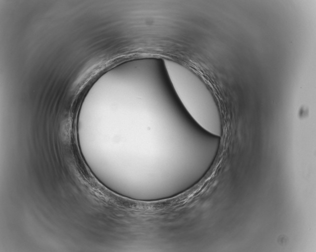 X0000091940194200709051309