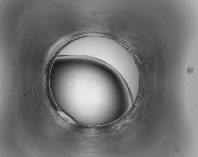 X0000091940197200709051309