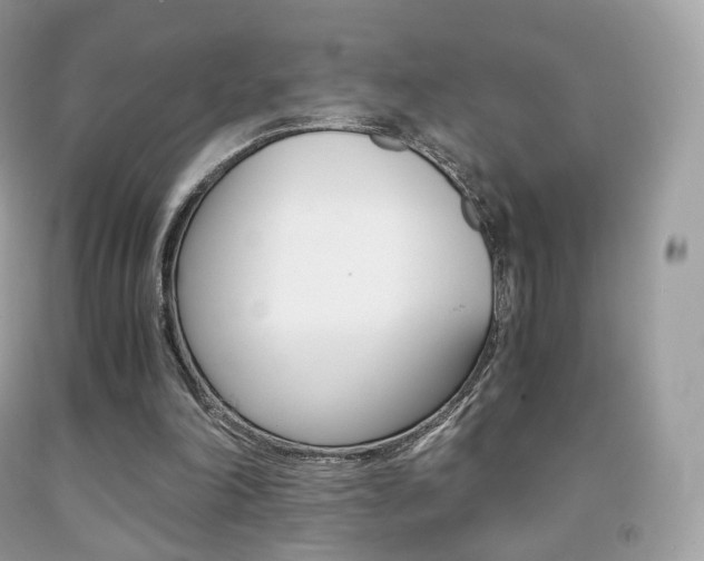 X0000091940198200709051309