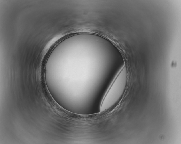 X0000091940200200709051309