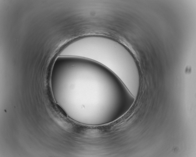 X0000091940203200709051309