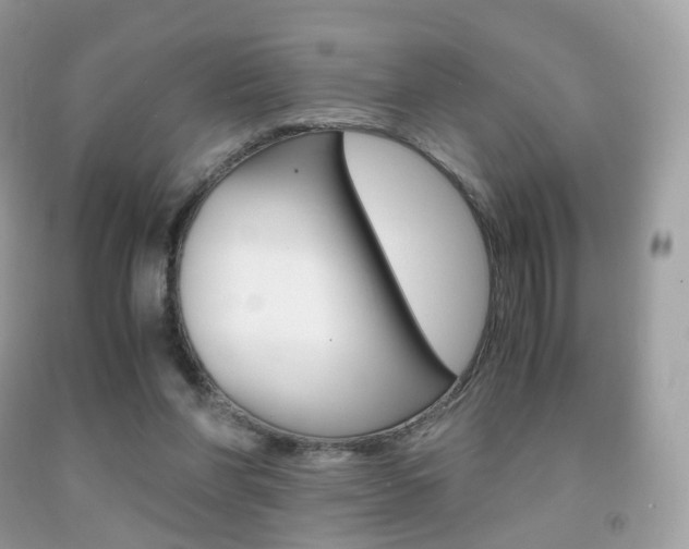 X0000091940206200709051309