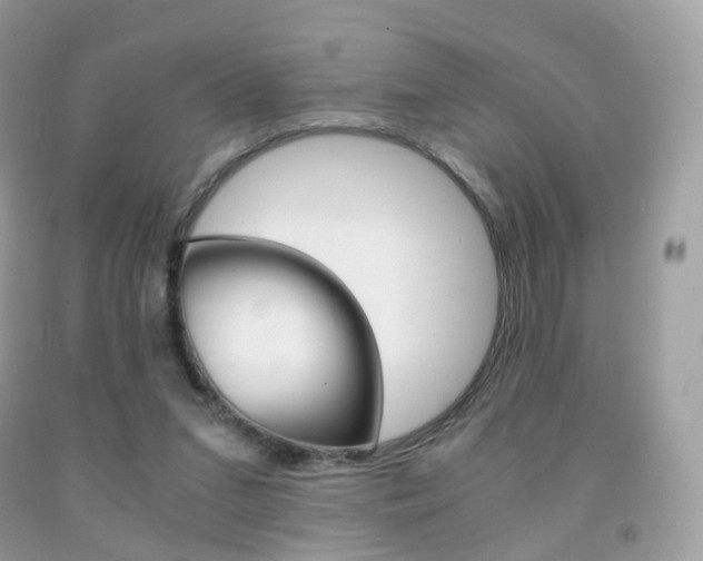 X0000091940207200709051309