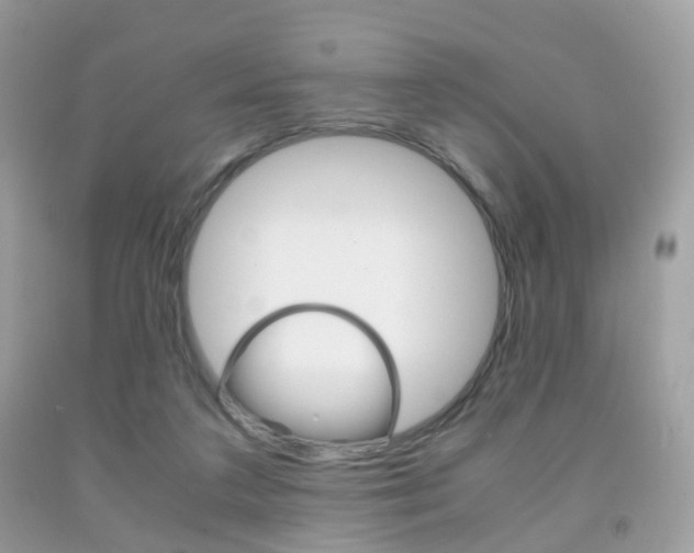 X0000091940211200709051309