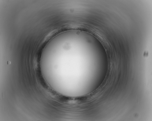 X0000091940216200709051309