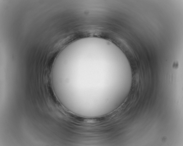 X0000091940218200709051309