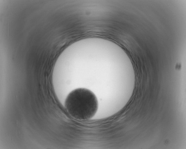 X0000091940219200709051309