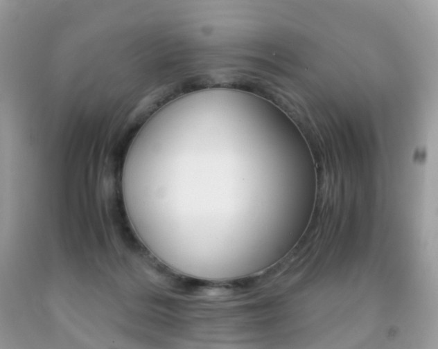 X0000091940220200709051309