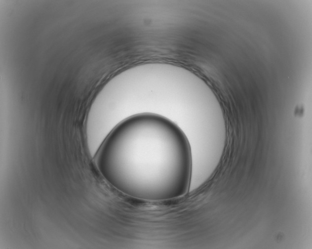 X0000091940221200709051309