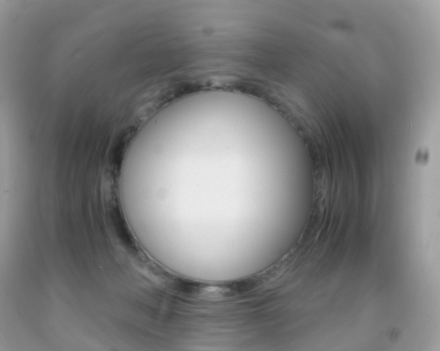 X0000091940222200709051309