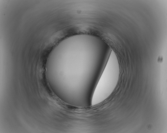 X0000091940223200709051309