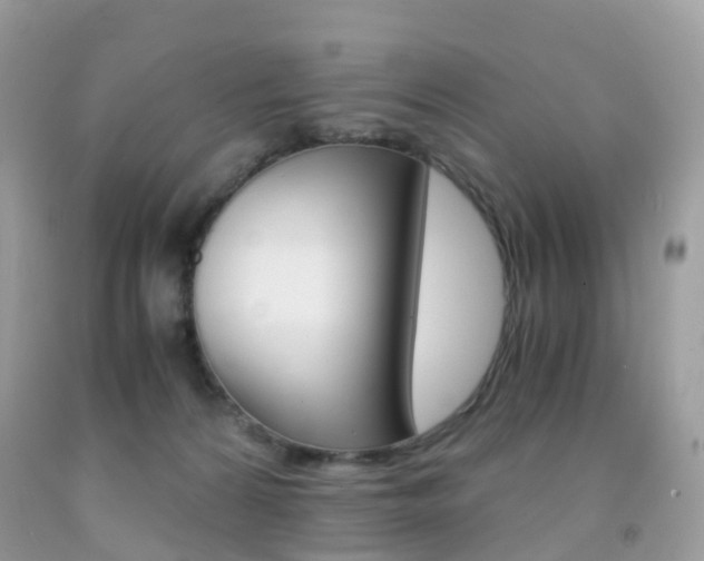 X0000091940224200709051309