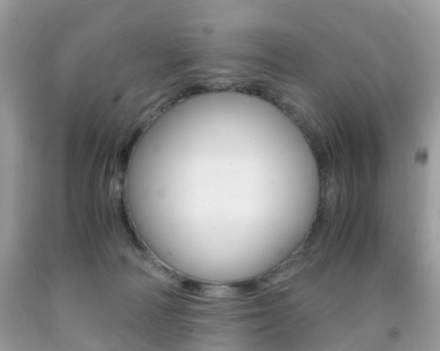 X0000091940226200709051309