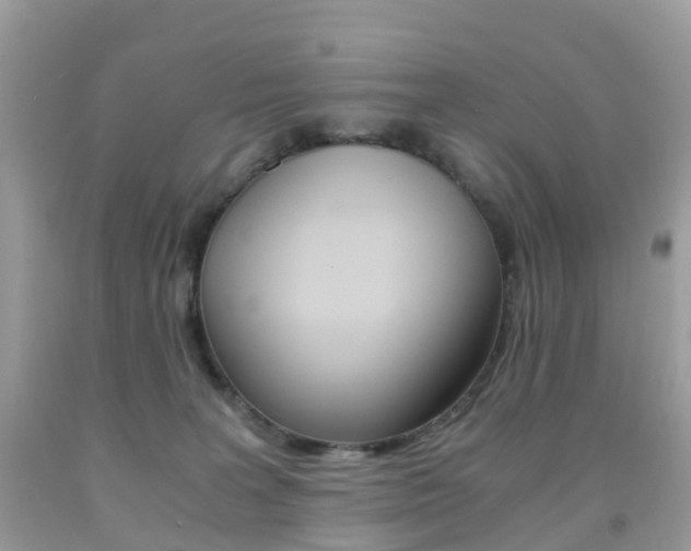 X0000091940227200709051309