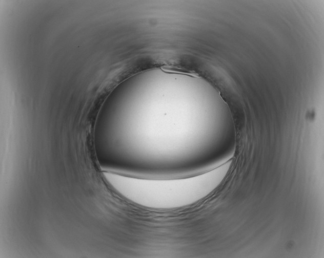 X0000091940229200709051309
