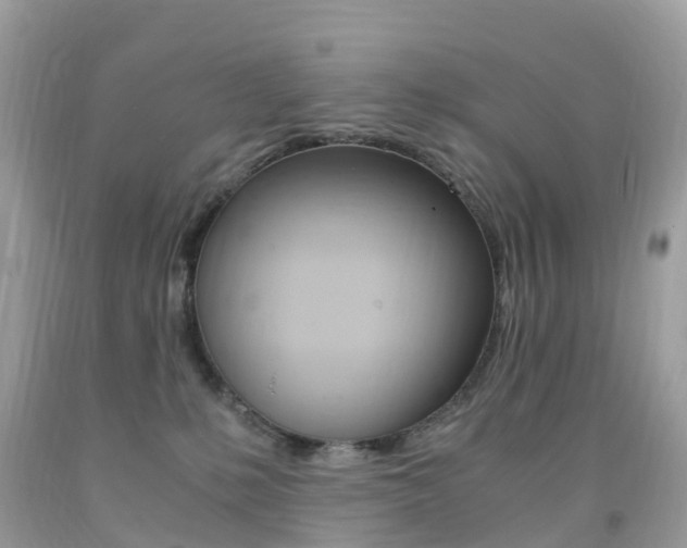 X0000091940231200709051309
