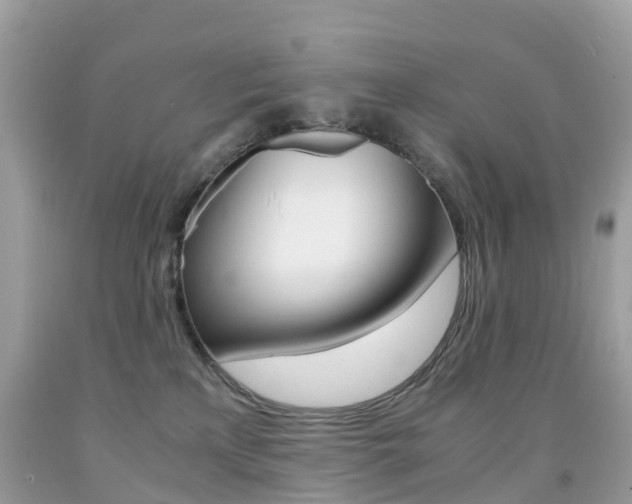 X0000091940233200709051309