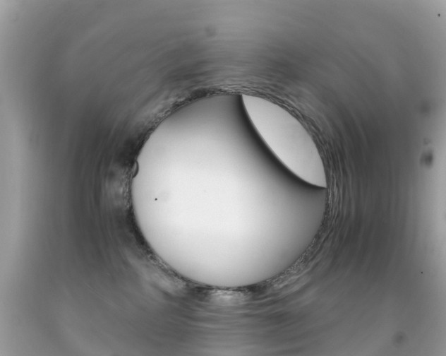 X0000091940234200709051309