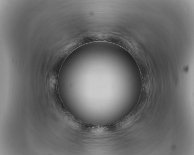 X0000091940235200709051309