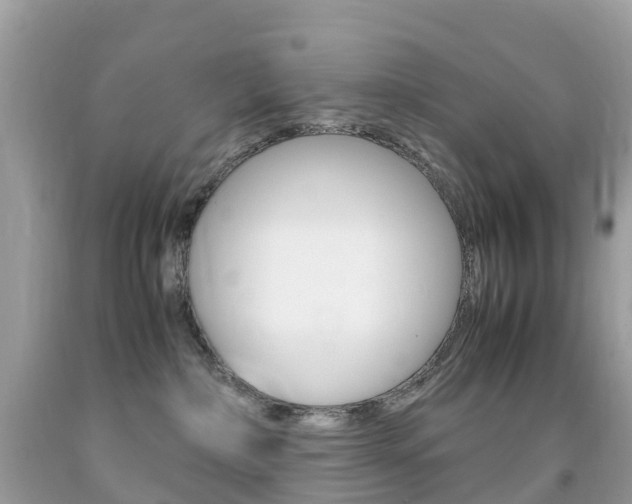 X0000091940236200709051309