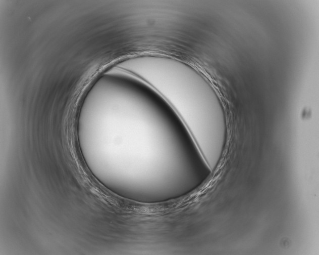 X0000091940241200709051308