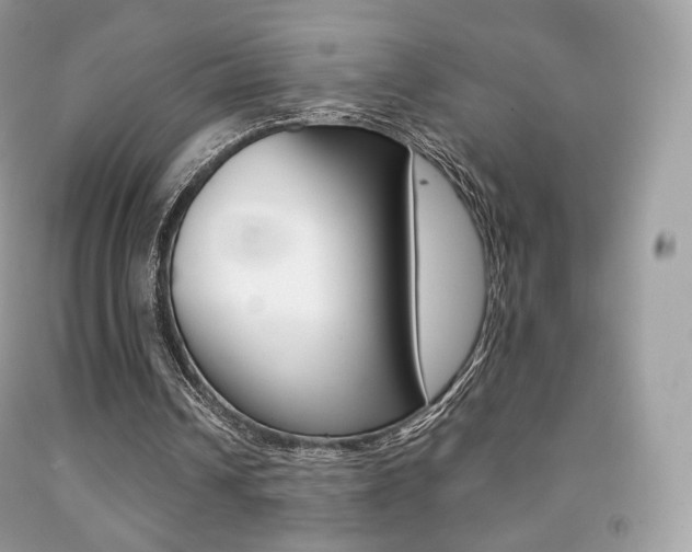 X0000091940242200709051308