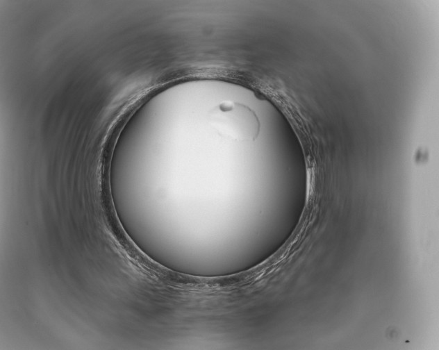 X0000091940243200709051308
