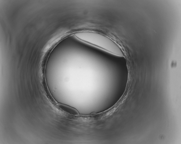 X0000091940245200709051308
