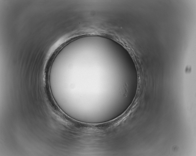 X0000091940246200709051308