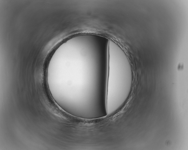 X0000091940247200709051308