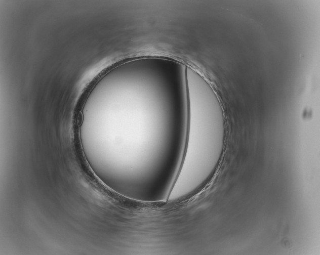 X0000091940248200709051308