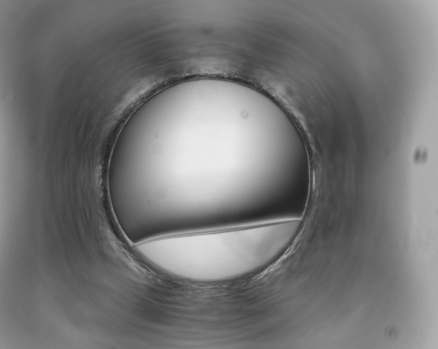 X0000091940249200709051308