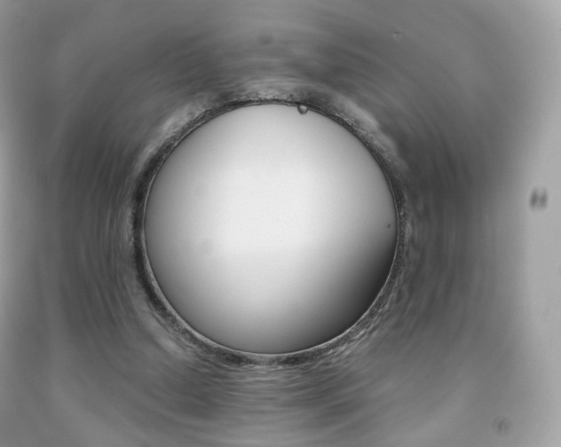 X0000091940250200709051308
