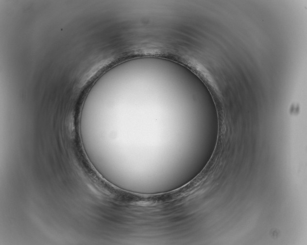 X0000091940251200709051308