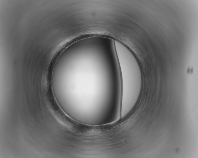 X0000091940252200709051308