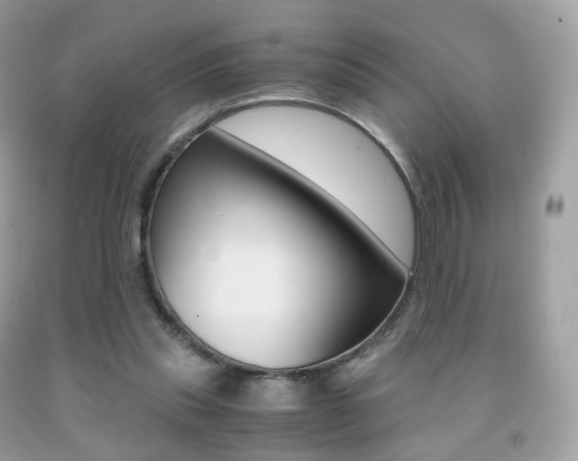 X0000091940253200709051308
