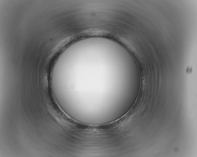 X0000091940254200709051308