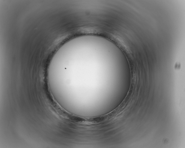 X0000091940255200709051308