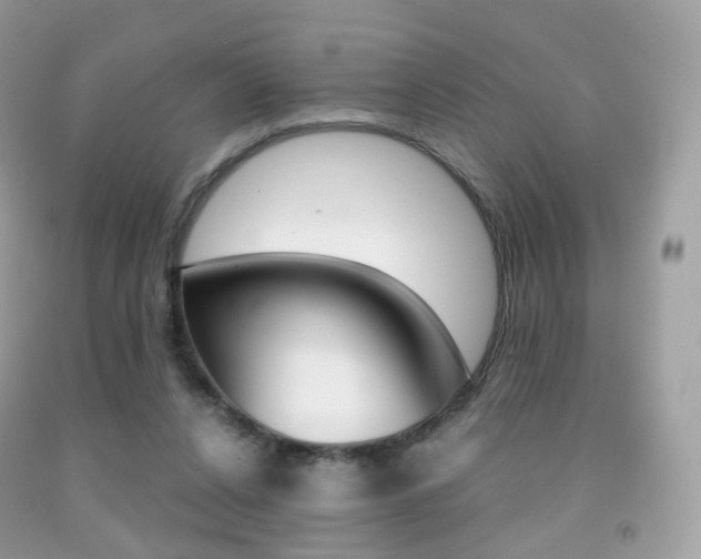 X0000091940256200709051308