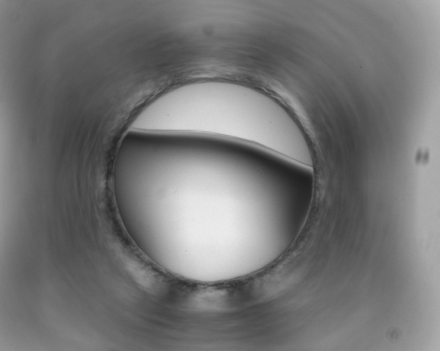 X0000091940257200709051309
