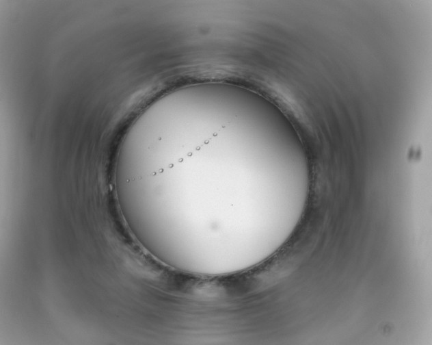 X0000091940258200709051309